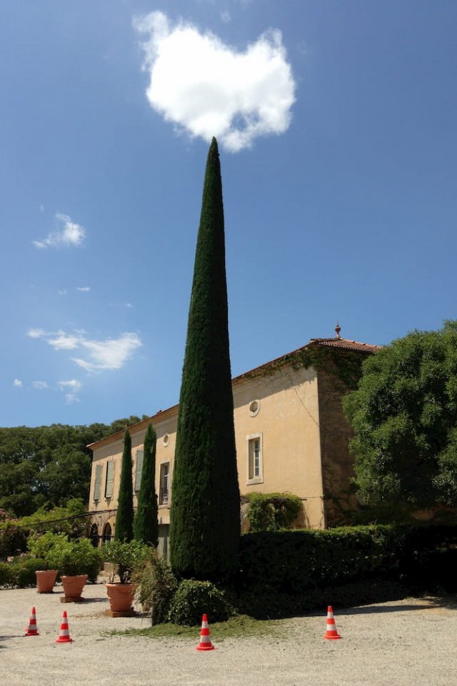 Elagage des arbres, tailles raisonnées